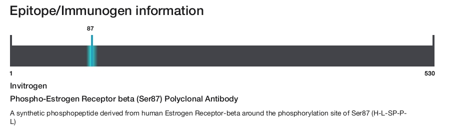 Phospho-Estrogen Receptor beta (Ser87) Polyclonal Antibody