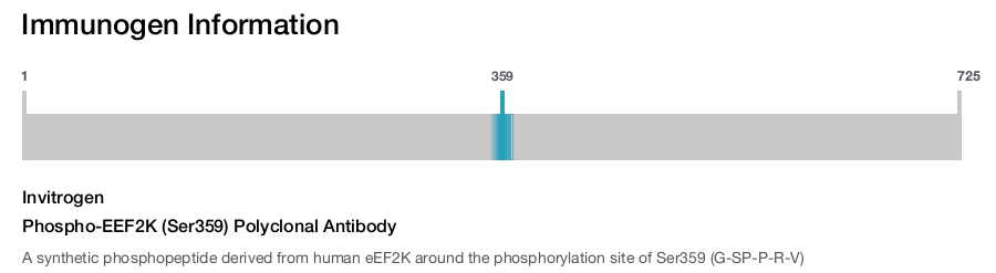 Phospho-EEF2K (Ser359) Polyclonal Antibody
