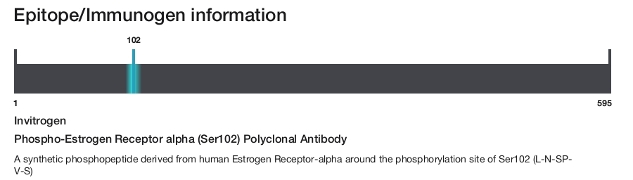 Phospho-Estrogen Receptor alpha (Ser102) Polyclonal Antibody