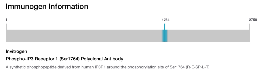 Phospho-IP3 Receptor 1 (Ser1764) Polyclonal Antibody