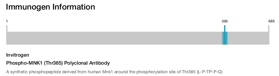 Phospho-MNK1 (Thr385) Polyclonal Antibody