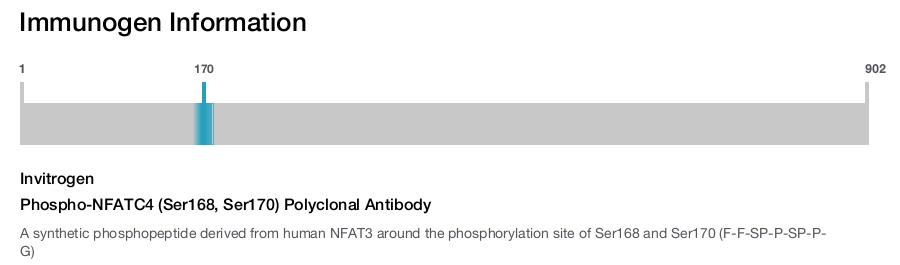 Phospho-NFATC4 (Ser168, Ser170) Polyclonal Antibody