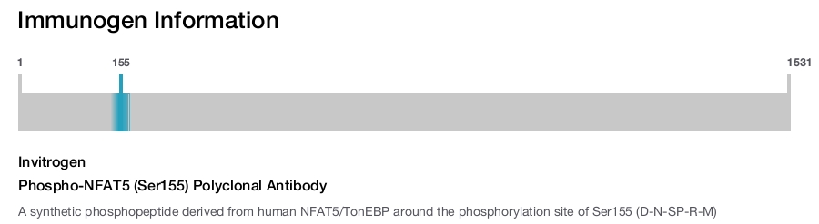Phospho-NFAT5 (Ser155) Polyclonal Antibody