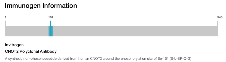 CNOT2 Polyclonal Antibody
