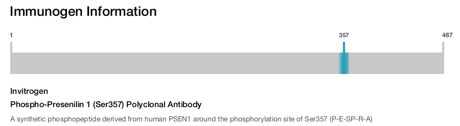 Phospho-Presenilin 1 (Ser357) Polyclonal Antibody