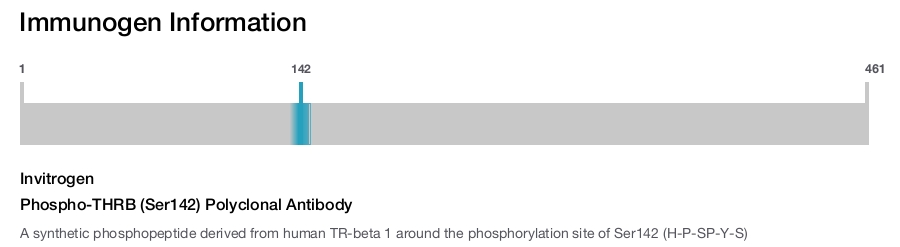 Phospho-THRB (Ser142) Polyclonal Antibody
