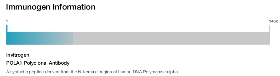 POLA1 Polyclonal Antibody