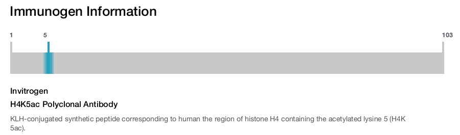 H4K5ac Polyclonal Antibody
