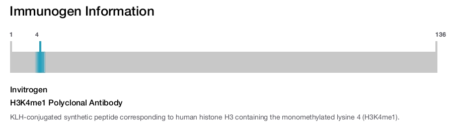 H3K4me1 Polyclonal Antibody