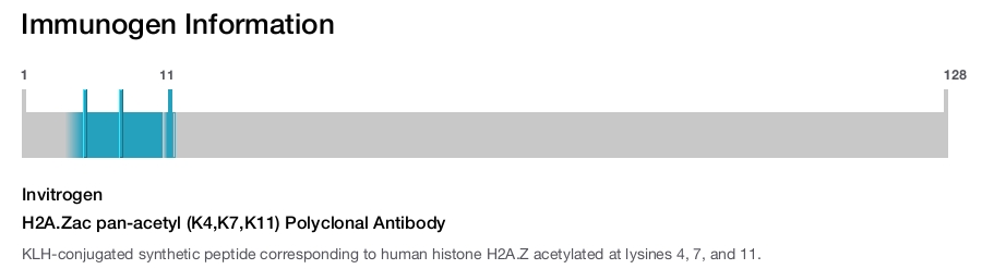 H2A.Zac pan-acetyl (K4,K7,K11) Polyclonal Antibody