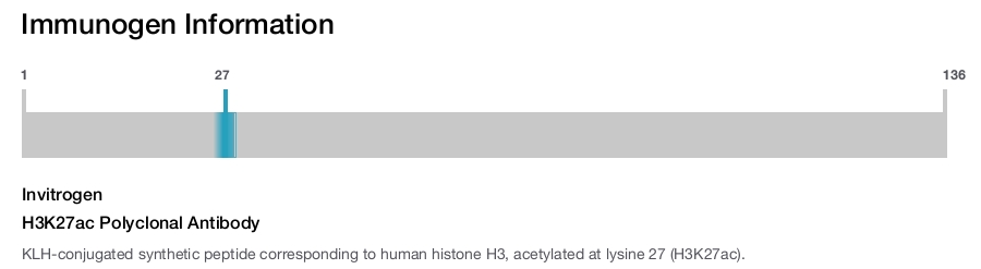 H3K27ac Polyclonal Antibody