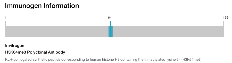 H3K64me3 Polyclonal Antibody