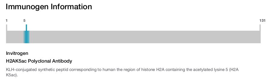 H2AK5ac Polyclonal Antibody