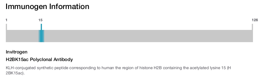 H2BK15ac Polyclonal Antibody