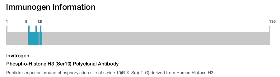 Phospho-Histone H3 (Ser10) Polyclonal Antibody