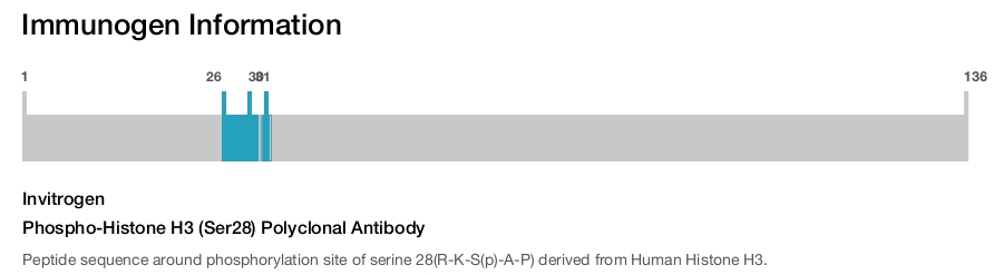 Phospho-Histone H3 (Ser28) Polyclonal Antibody