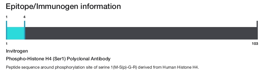 Phospho-Histone H4 (Ser1) Polyclonal Antibody