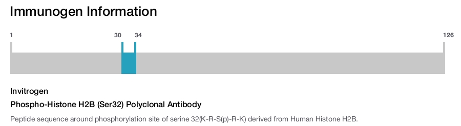 Phospho-Histone H2B (Ser32) Polyclonal Antibody