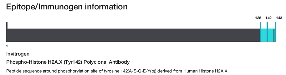 Phospho-Histone H2A.X (Tyr142) Polyclonal Antibody