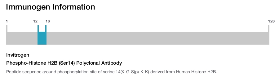 Phospho-Histone H2B (Ser14) Polyclonal Antibody