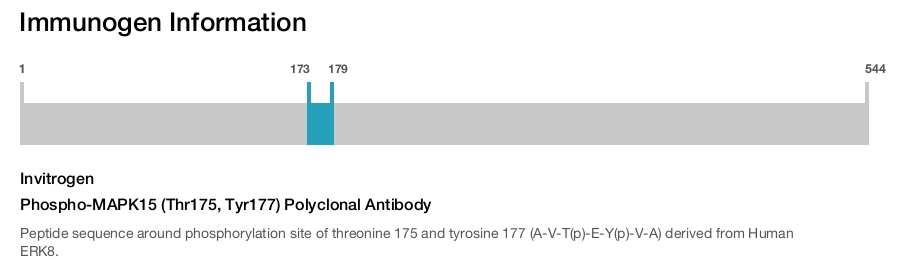 Phospho-MAPK15 (Thr175, Tyr177) Polyclonal Antibody