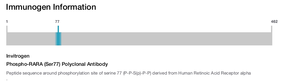 Phospho-RARA (Ser77) Polyclonal Antibody