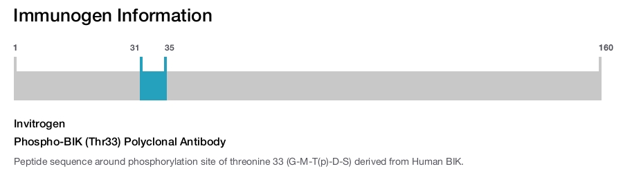 Phospho-BIK (Thr33) Polyclonal Antibody