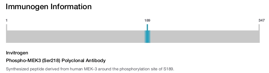 Phospho-MEK3 (Ser218) Polyclonal Antibody