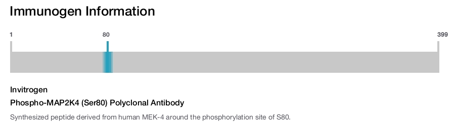Phospho-MAP2K4 (Ser80) Polyclonal Antibody