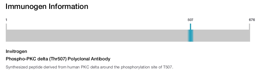Phospho-PKC delta (Thr507) Polyclonal Antibody
