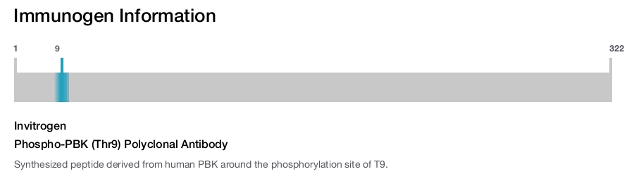 Phospho-PBK (Thr9) Polyclonal Antibody