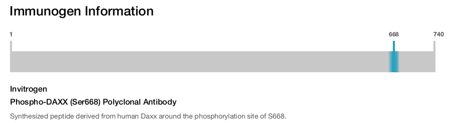 Phospho-DAXX (Ser668) Polyclonal Antibody