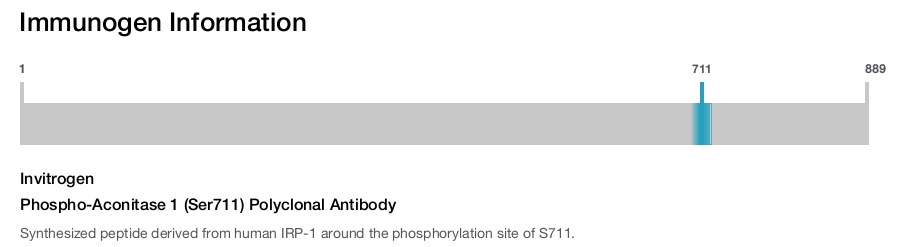 Phospho-Aconitase 1 (Ser711) Polyclonal Antibody
