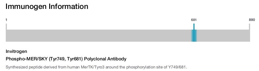 Phospho-MER/SKY (Tyr749, Tyr681) Polyclonal Antibody