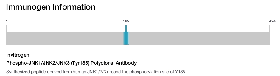 Phospho-JNK1/JNK2/JNK3 (Tyr185) Polyclonal Antibody