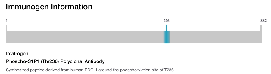 Phospho-S1P1 (Thr236) Polyclonal Antibody