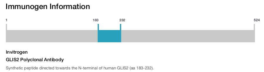 GLIS2 Polyclonal Antibody