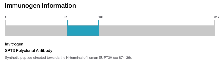 SPT3 Polyclonal Antibody