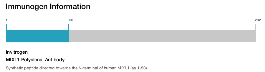 MIXL1 Polyclonal Antibody