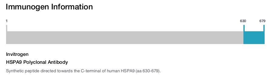 HSPA9 Polyclonal Antibody