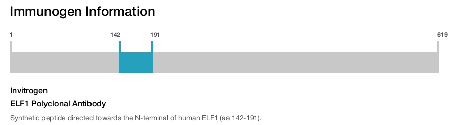 ELF1 Polyclonal Antibody