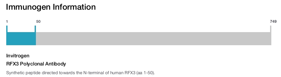 RFX3 Polyclonal Antibody