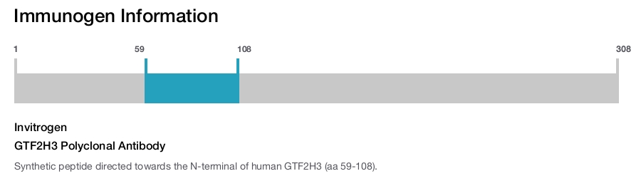 GTF2H3 Polyclonal Antibody