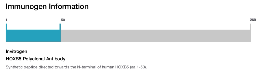 HOXB5 Polyclonal Antibody