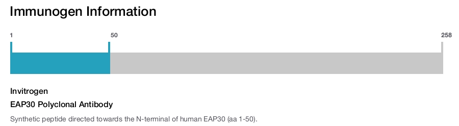 EAP30 Polyclonal Antibody