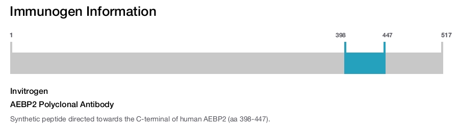 AEBP2 Polyclonal Antibody