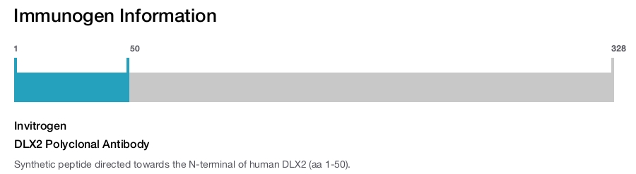 DLX2 Polyclonal Antibody