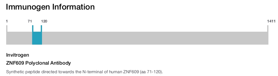 ZNF609 Polyclonal Antibody