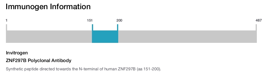 ZNF297B Polyclonal Antibody