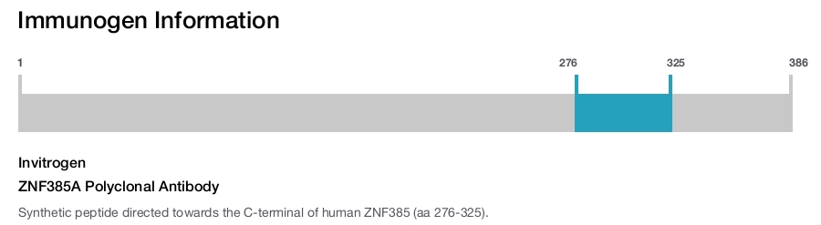 ZNF385A Polyclonal Antibody